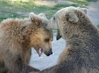 Bear hugs: The new hostile takeover