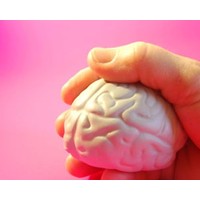 Grey matter: how managing others helps brain power