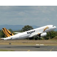 Tiger Airways’ bid to change its stripes