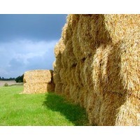 It's time to make hay while the hail falls