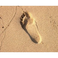 Why you should care about your digital footprint