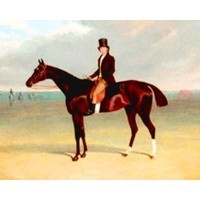 Rich Tales: Rich Listers and the life equestrian