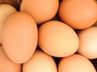 Is a national standard for free range eggs on the way?