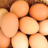 Uncertainty cracks free-range egg market