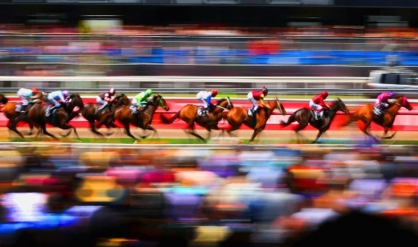 Do historical trends in Melbourne Cup champions point to a winner?