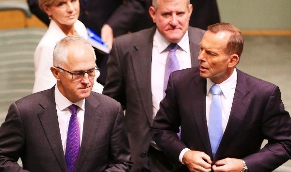 Take the SmartCompany poll: Will Tony Abbott survive as Prime Minister?