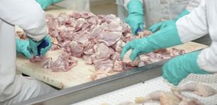 Fair Work uncovers “exploitation” and paltry workplace practices at Australia’s largest chicken producer Baiada Group