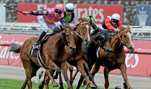 Tom Waterhouse hopes to win $5 million on Melbourne Cup long-shot: Who’s backing who in today’s race