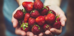 Strawberries picture by artur-rutkowski-