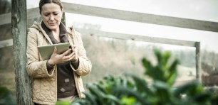 Business owner using a tablet and internet outside