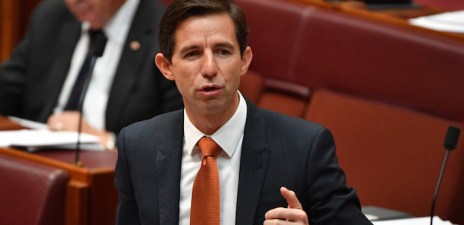 Simon Birmingham procurement contracts