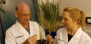 NexGen Plants founder Peer Schenke with researcher Lara-Simone Pretorius. Source: Supplied.