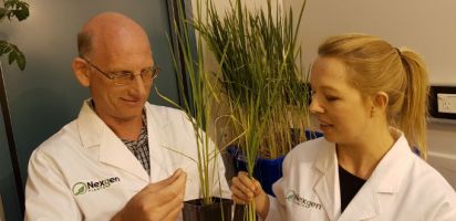 NexGen Plants founder Peer Schenke with researcher Lara-Simone Pretorius. Source: Supplied.