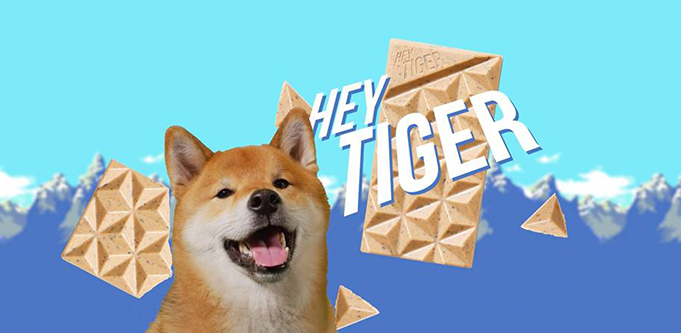 Hey Tiger Tofu