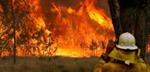 bushfires small business