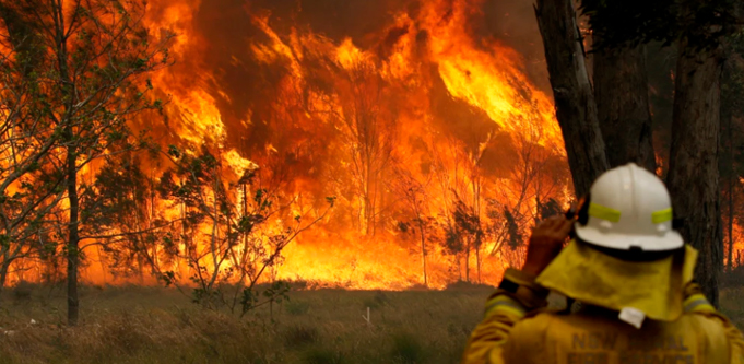 bushfires small business