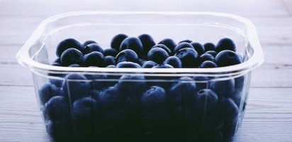 blueberries food containter