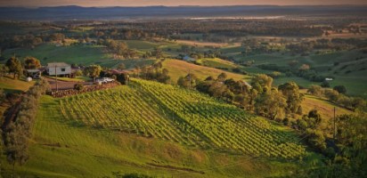 Barossa-vineyards