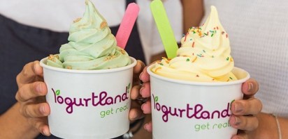 Yogurtland-closes