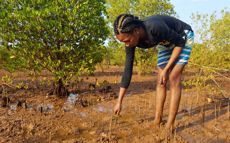 Canva Madagascar