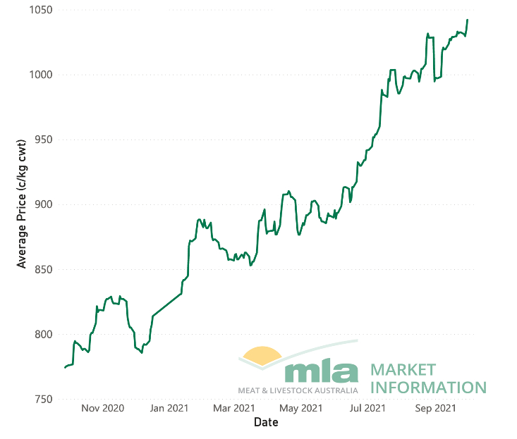 Eastern Young Cattle Indicator