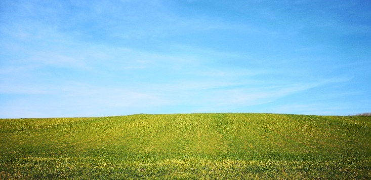 Windows XP desktop background