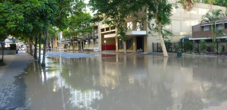 Brisbane floods Queensland small businesses