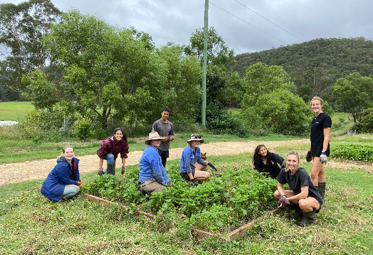 Canva Hebron Farm