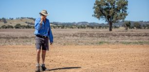 zetifi nbn starlink telstra