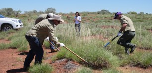 traditional indigenous knowledge